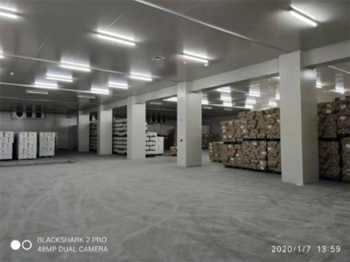 建造榴莲低温冷冻库 建造榴莲低温冷冻库