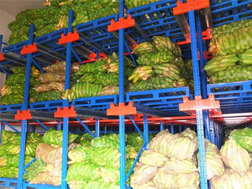 食品榴莲网站官网建造要求