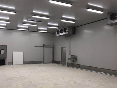 食品速冻型榴莲网站官网建造费用