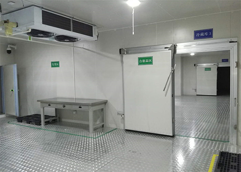 海鲜速冻榴莲网站官网建造价格