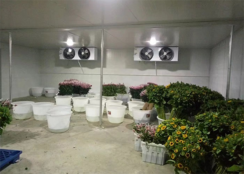 鲜花保鲜榴莲网站官网建造