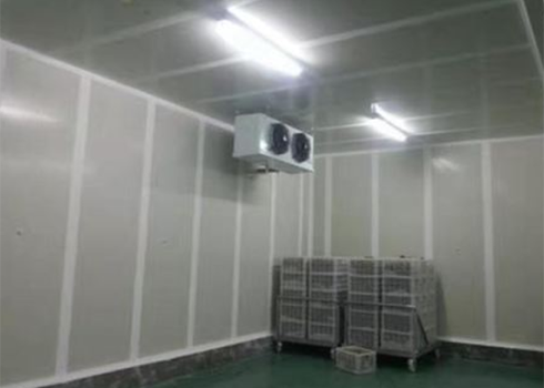 食品榴莲网站官网建造安装 食品榴莲网站官网建造安装