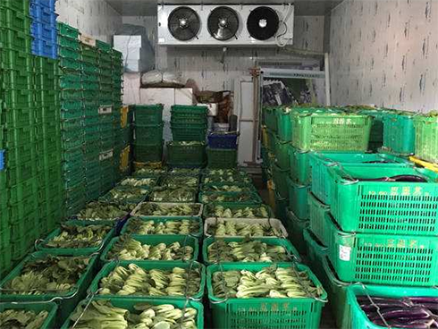 保鲜榴莲网站官网建造厂家