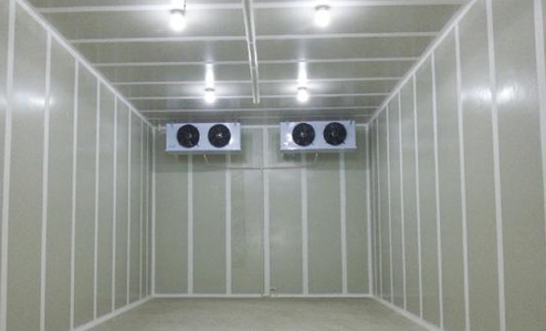 气调榴莲网站官网建造安装