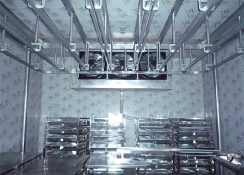 物流榴莲网站官网建造