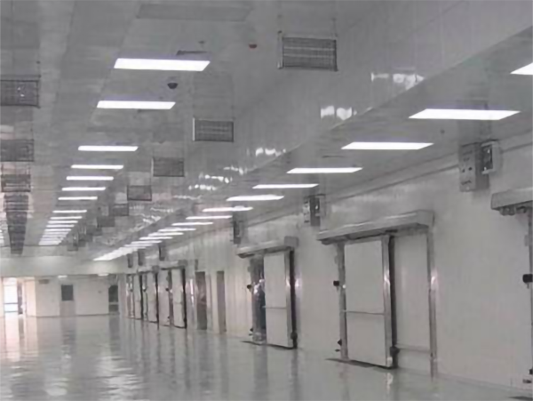 食品冷链配置低温榴莲网站官网建造安装