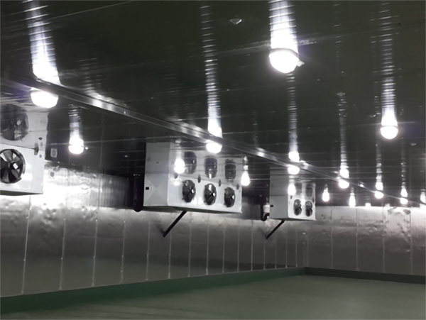鸭梨保鲜库建造 鸭梨保鲜库建造