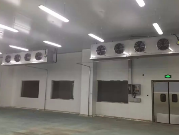 保鲜榴莲网站官网耗电量的影响因素