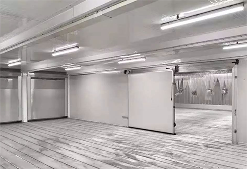 速冻榴莲网站官网建造安装 速冻榴莲网站官网建造安装