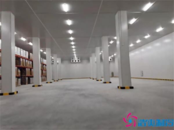 建造-18℃~-23℃牛肉榴莲网站官网（低温冷冻库）需要花费多少钱？