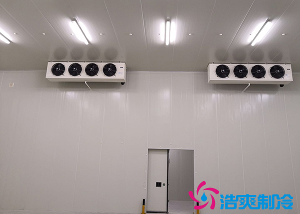 建造一个港口冷链榴莲网站官网价格是多少钱？