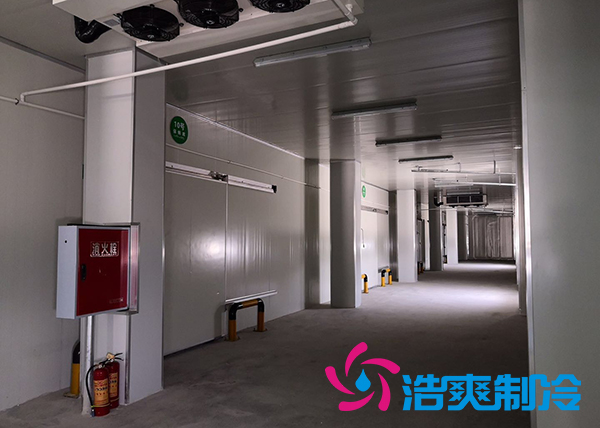 建造一个港口冷链榴莲网站官网价格是多少钱？