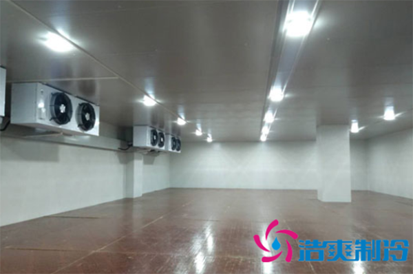 建造一个-10℃~-20℃速冻丸子榴莲网站官网大概需要多少钱