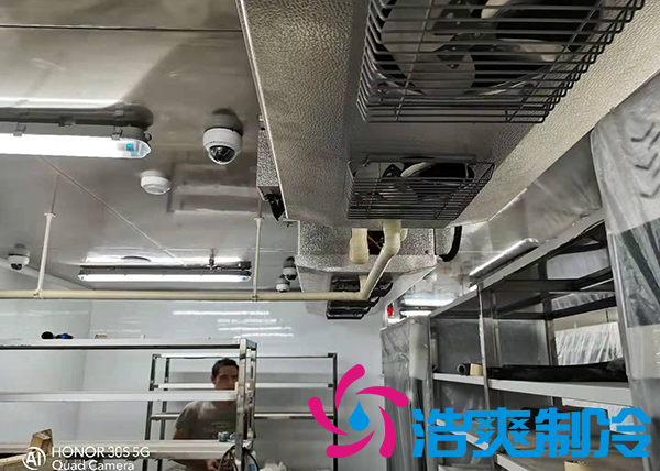 建造1000吨土豆保鲜库需要多少安装费用？_榴莲视频在线观看下载制冷