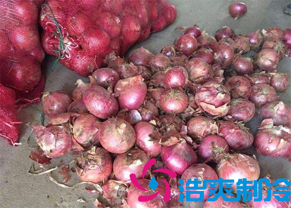 建造1000吨洋葱保鲜榴莲网站官网安装费用是多少？
