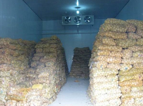 土豆榴莲网站官网的储存方法及其榴莲网站官网建造方案_榴莲视频在线观看下载制冷