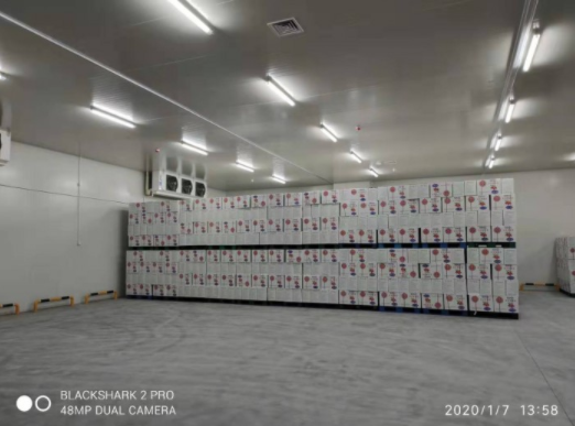 水果蔬菜榴莲网站官网建造对库温设计有何要求？_榴莲视频在线观看下载制冷
