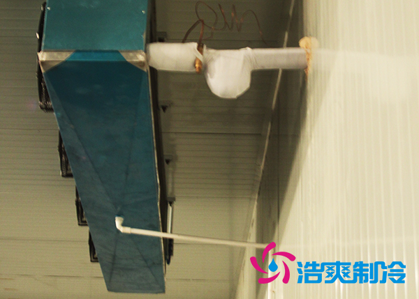 建造大型农产品基地榴莲网站官网造价需要投资多少费用? 建造大型农产品基地榴莲网站官网造价需要投资多少费用?