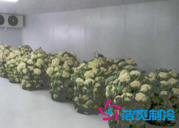上海建造2000立方米鲜花气调保鲜榴莲网站官网造价多少钱？
