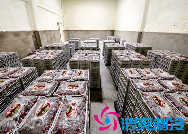 果蔬保鲜榴莲网站官网安装造价需要多少钱？_榴莲视频在线观看下载制冷