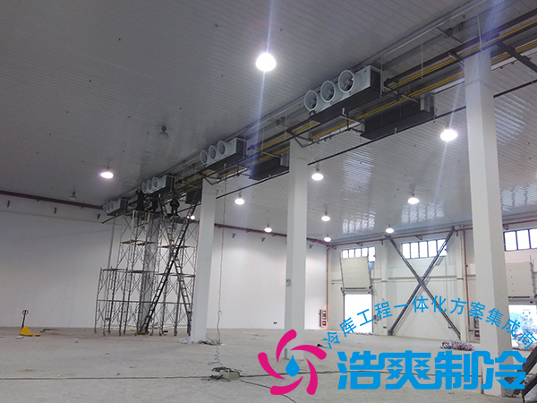 建造一个小型青果槟榔保鲜榴莲网站官网造价多少钱？可以存储多长时间？