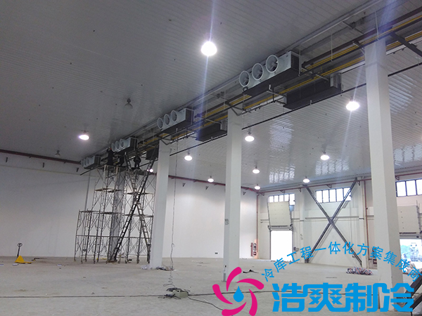 餐饮公司建造21000立方米大型食品冷藏库造价多少钱？_榴莲视频在线观看下载制冷