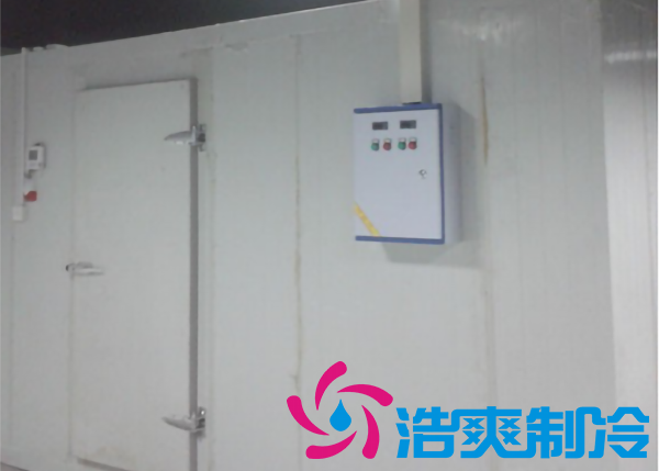 安装一个冷藏库造价大约多少钱一平方？_榴莲视频在线观看下载制冷