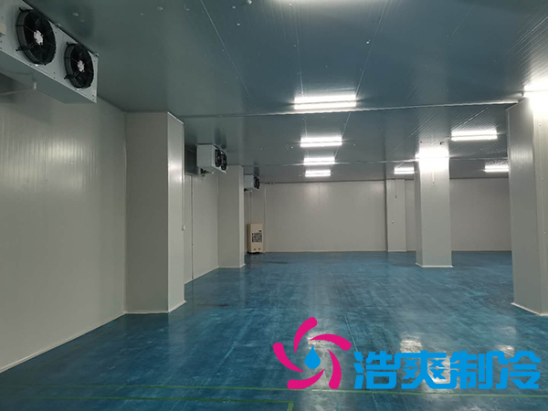 滨州健源大型食品榴莲网站官网工程建造安装案例