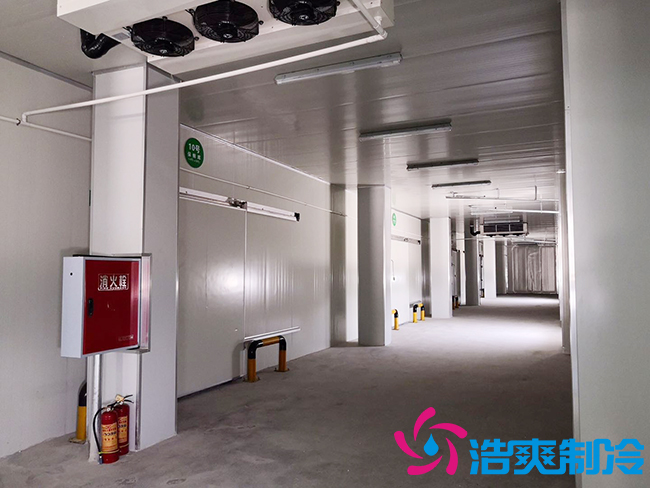 芭蕉气调保鲜库安装如何确保果实的长期储存?_榴莲视频在线观看下载制冷 芭蕉气调保鲜库安装如何确保果实的长期储存?_榴莲视频在线观看下载制冷