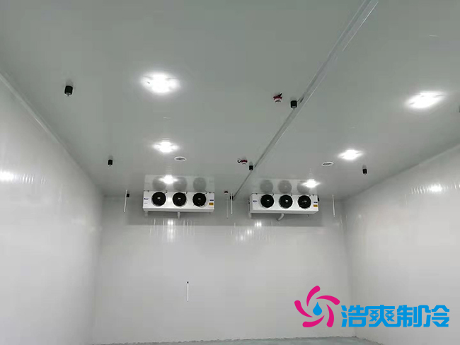 超低温冻库建设价格与哪些因素有关？_榴莲视频在线观看下载制冷