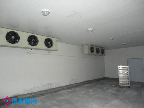 孝感市生猪屠宰场大型低温榴莲网站官网建造工程