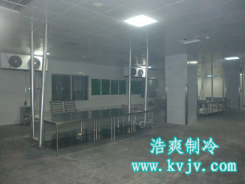 成都环球中心榴莲网站官网中的速冻库