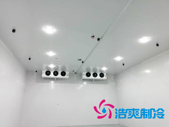 -18℃～-25℃肉类冷冻库安装造价需要多少钱？_榴莲视频在线观看下载制冷