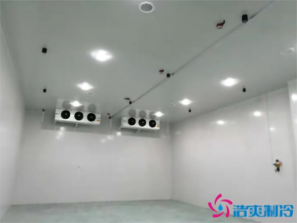 茄子气调榴莲网站官网安装存储方法_榴莲视频在线观看下载制冷 茄子气调榴莲网站官网安装存储方法_榴莲视频在线观看下载制冷