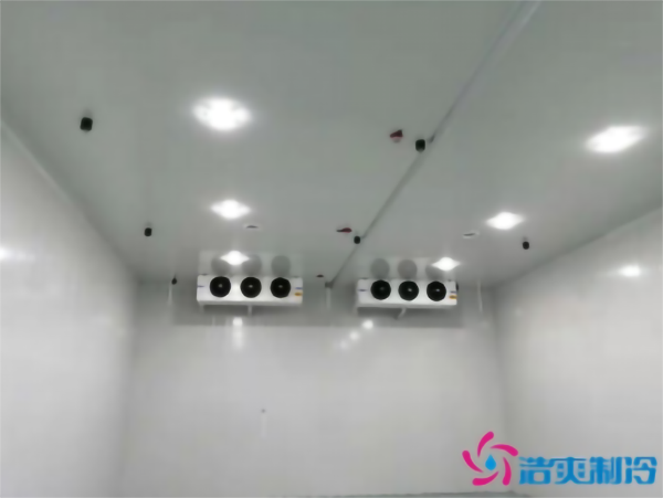 茄子气调榴莲网站官网安装存储方法_榴莲视频在线观看下载制冷 茄子气调榴莲网站官网安装存储方法_榴莲视频在线观看下载制冷