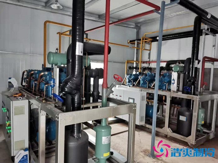 上海儒汇净菜中央厨房榴莲网站官网建造工程案例
