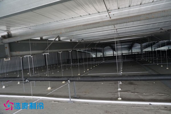 湖北冷源冷链高低温榴莲网站官网建造安装