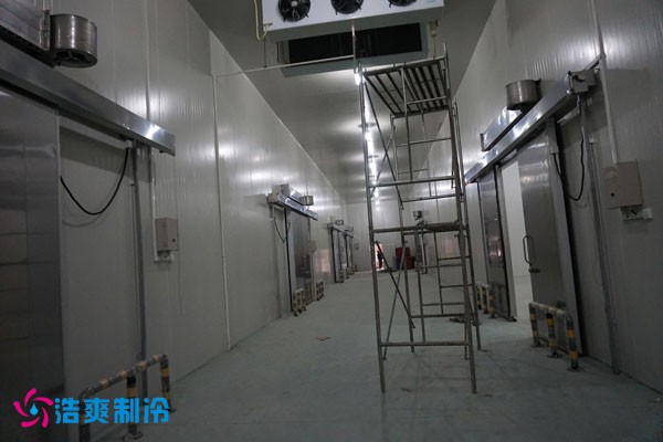 湖北冷源冷链高低温榴莲网站官网建造安装
