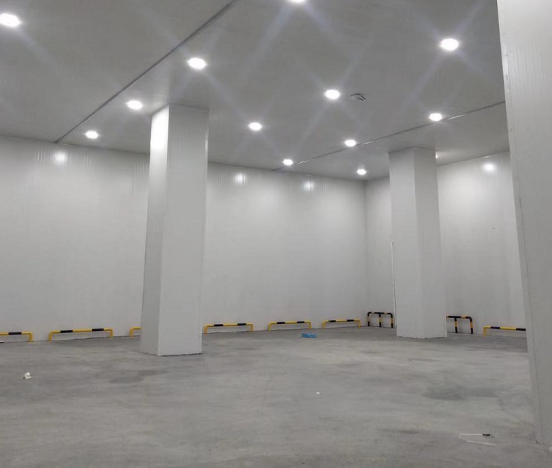洋葱榴莲网站官网建造需要多少钱？温度需求是多少？_榴莲视频在线观看下载制冷