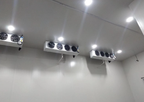普通果蔬保鲜榴莲网站官网建造