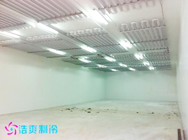 2500m³食品原料/成品榴莲网站官网建造工程