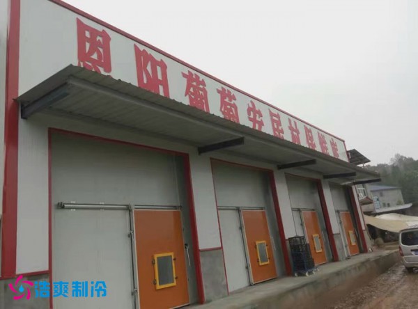 巴中葡萄种植合作社气调保鲜榴莲网站官网建造