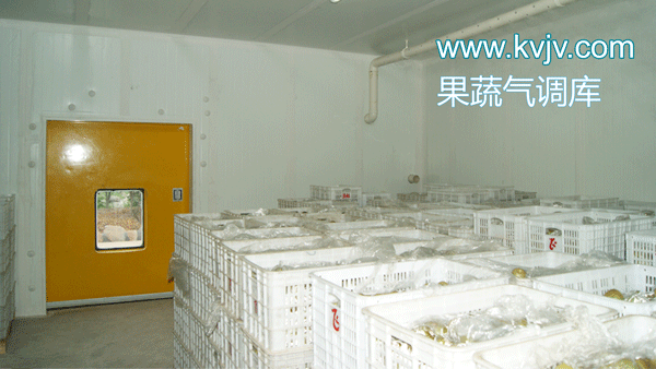 衢州蜜之源果业气调保鲜榴莲网站官网建造工程