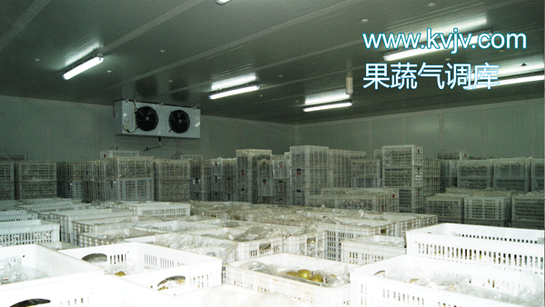 衢州蜜之源果业气调保鲜榴莲网站官网建造工程