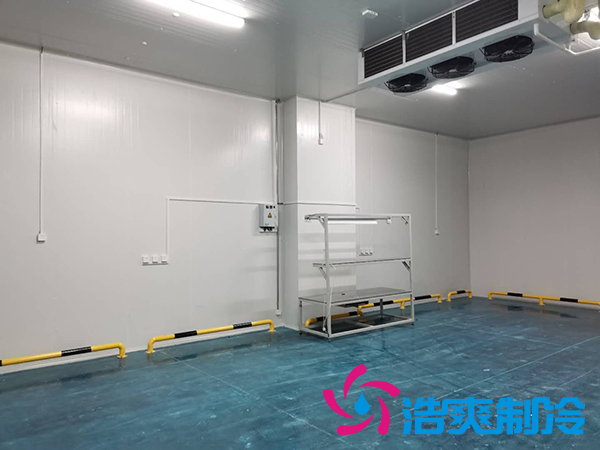 建一个1000平米蔬菜恒温库成本多少钱？_榴莲视频在线观看下载制冷