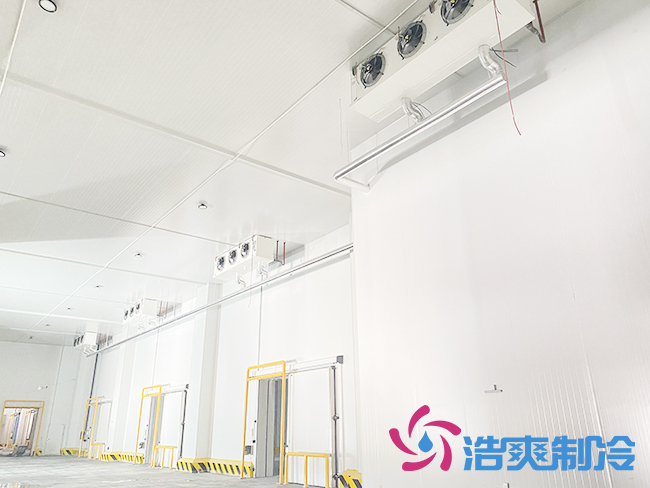 建造一间气调保鲜榴莲网站官网大概需要投资多少钱？_榴莲视频在线观看下载制冷
