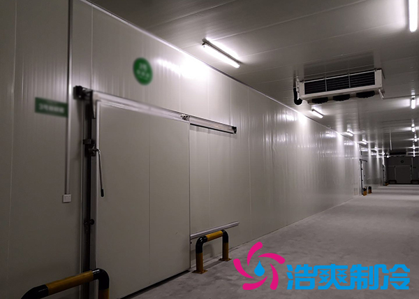 粽叶榴莲网站官网保存方法及温度范围_箬叶冷藏库建造标准-榴莲视频在线观看下载制冷
