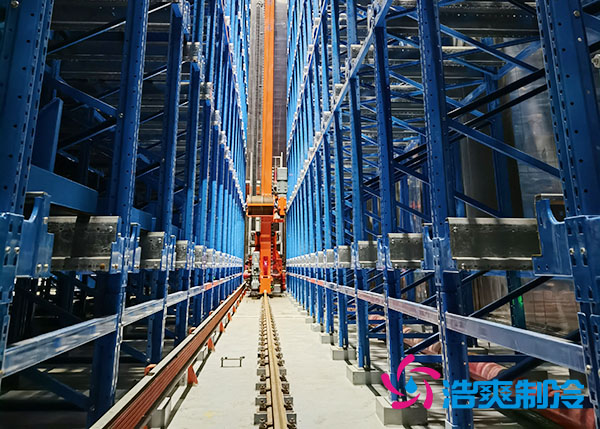 -35℃食品自动化速冻库设计安装全自动低温榴莲网站官网供应商