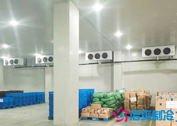 大型蔬菜榴莲网站官网建造价格多少钱,果蔬保鲜冷藏库安装设计规范-榴莲视频在线观看下载制冷