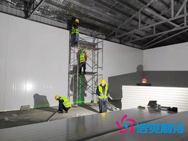 建设大型低温食品冷链物流仓库造价标准多少钱？-榴莲视频在线观看下载制冷